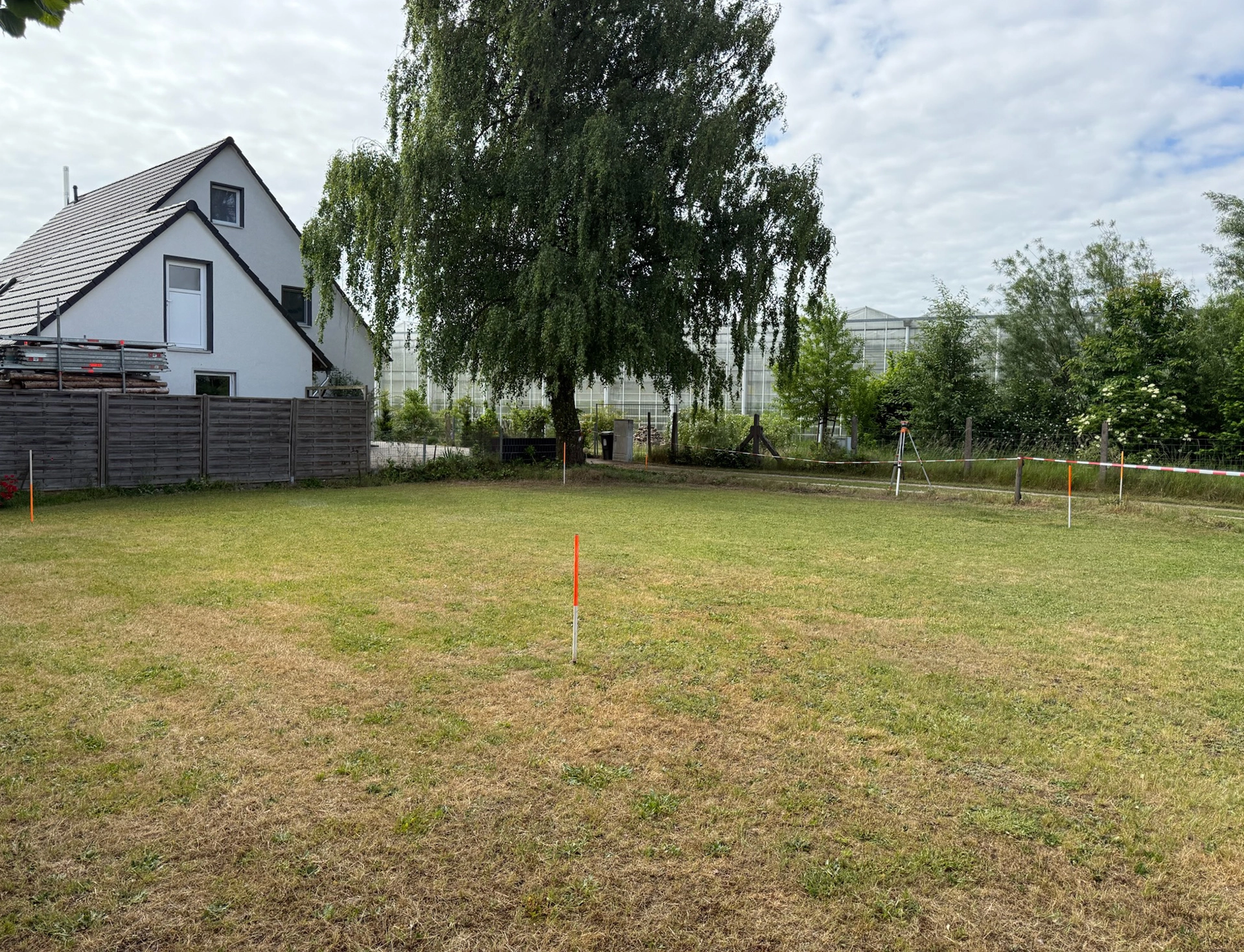 Rasenfläche mit Haus und Baum im Hintergrund.